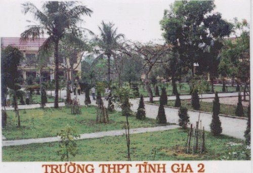 TG2.jpg